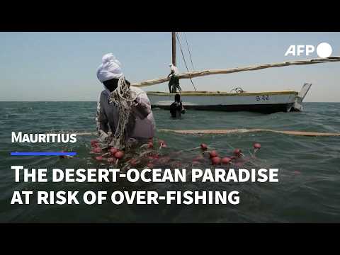 Video Thumbnail: Mauritania's Imraguen people's desert-ocean paradise under threat from overfishing | AFP