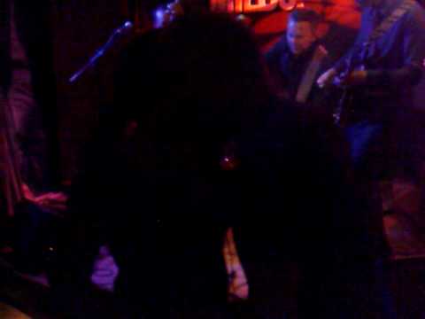 The Three Farmers Boys - Hip Shake Baby [live @ café Miles, Amersfoort]