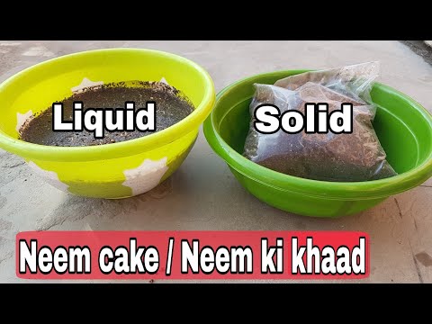 YouTube video about: How to use neem cake for potted plants?
