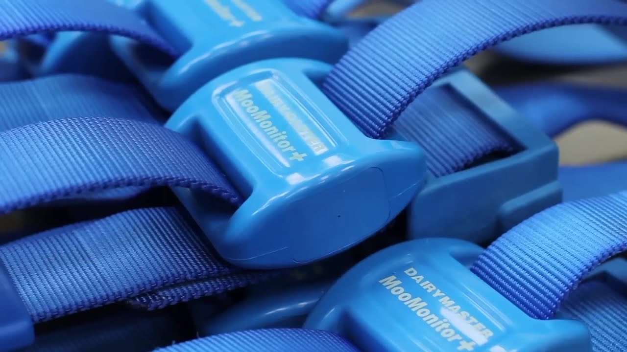 MooMonitor+ Что такое MooMonitor+