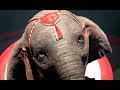 DUMBO Trailer 4 Español