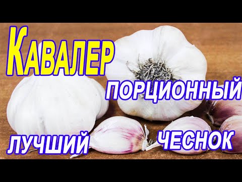 Чеснок озимый Кавалер! 