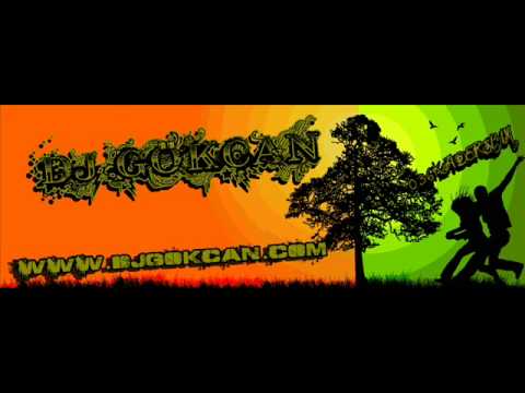 Dj GökcaN feat Dj Ferit - Bedduamsın