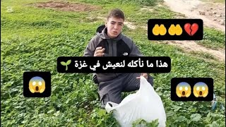 أستحلفكم بالله انكم تشاهدوا الفديو كاملأ الفديو مصدر رزق ألي ولعلتي في غزة 💔