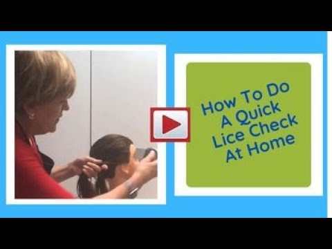 How to Do a Quick Lice Check at Home | Fast & Easy Lice Advice