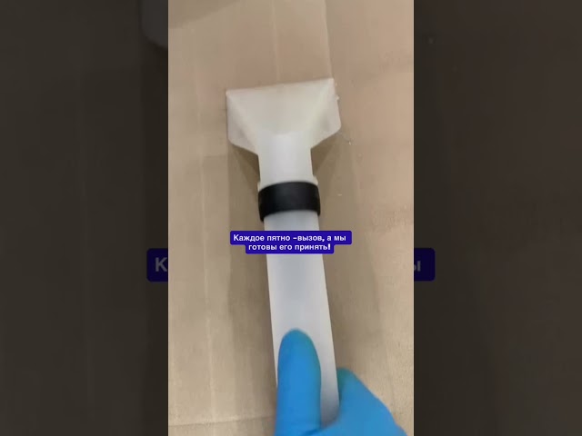 Для нас каждое пятно на диване - это вызов!