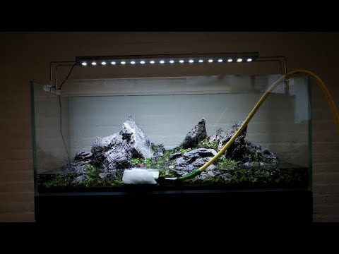 FB LIVE | Aquascaping Workshop at Aquaflora July2017