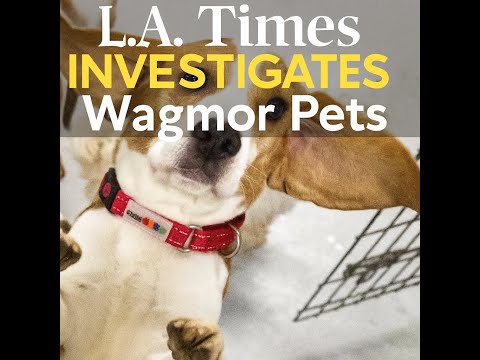 About Wagmor Pets