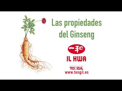 Propiedades del Ginseng Il hwa