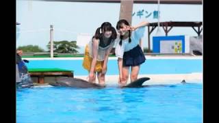 SKE48水野愛理と上村亜柚香動物やおもちゃに大はしゃぎ！