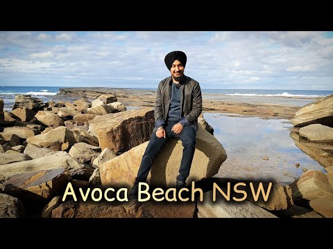 🏖️ Avoca Beach ⛱️ Central Coast - Suburb in NSW 