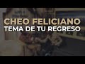 Cheo Feliciano - Tema de Tu Regreso (Audio Oficial)