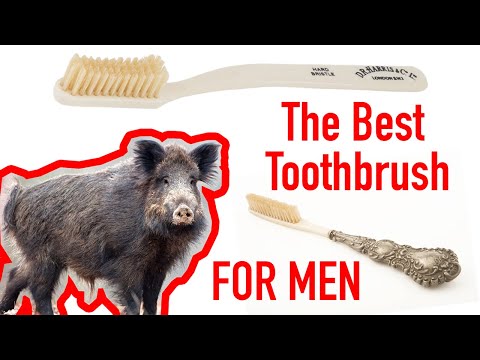 A melhor escova de dentes para homens | DR Harris Review