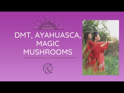 download lagu mp3 mp4 Ayahuasca sterreich Legal, download lagu Ayahuasca sterreich Legal gratis, unduh video klip Ayahuasca sterreich Legal