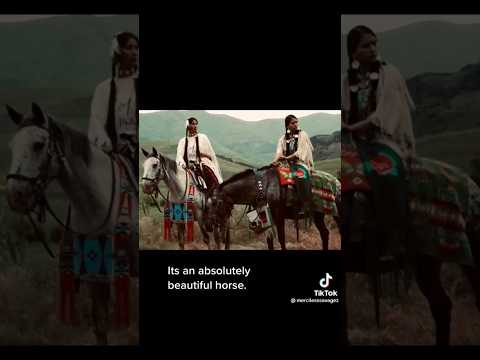 , title : 'Horse Breed History (Appaloosas & Native Americans)'