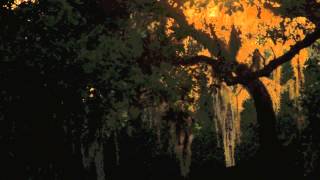 Duane Pitre - Bayou Electric (excerpt arrangement) - Important Records - Sept 4, 2015