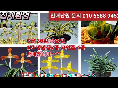 유튜브 썸네일
