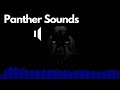 Panther Sound Effects Roar Growl No Copyright Free