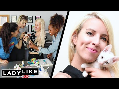 We Learn How To Foster Kittens From A Professional Kitten Lady • Ladylike