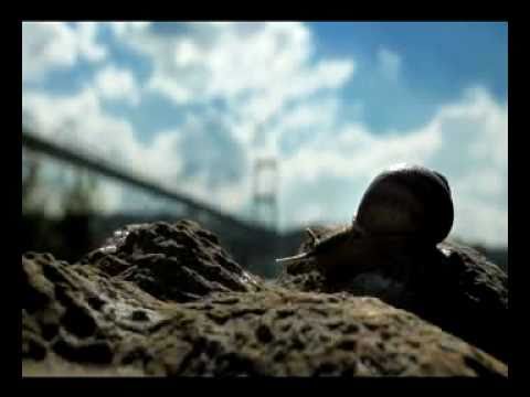 DJ Ipek Ipekcioglu - "The Colours of Cultural Diversity" START