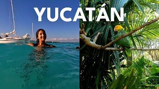 YUCATÁN 2-WEEK ITINERARY — Skip Cancún (Route, Cenotes &amp;amp; Costs) 🇲🇽