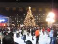 VJN30 Happy Holidays In The City