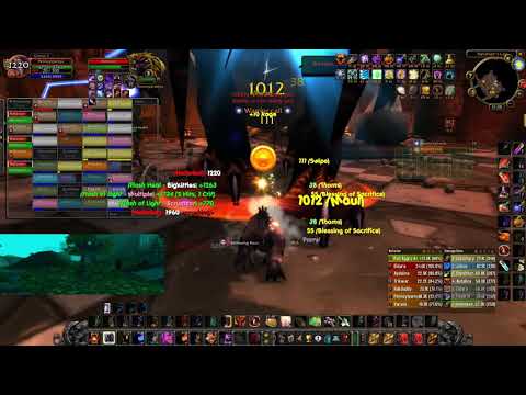 Wow Classic 60 Druid Tanking Nefarian. Wild Cat attacks Nefarian! Immune to Wild Polymorph!