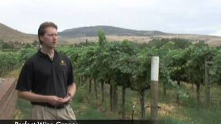 Canyon Wind Cellars - GJSentinel.com Agritourism Video