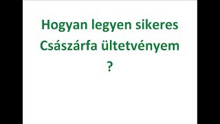Mi a sikeres ipari császárfa ültetvény titka?