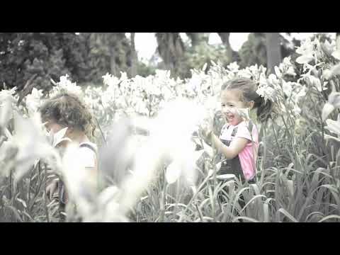 Chasing Butterflies Pictures Official Motion Logo (1080P_HD)