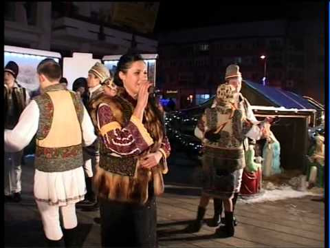 Flori din Bucovina 9