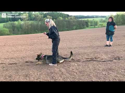 R'Chanel z údolí Úpy - Tracking Spring 2022