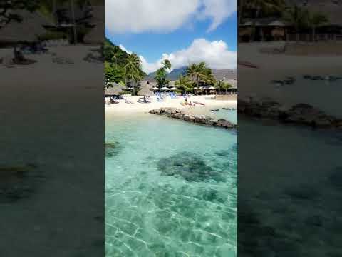 Saima and Mudassar Tahiti 2019(1)