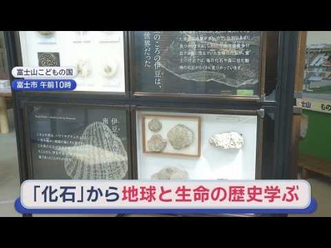 YouTube Video およそ２００点の貴重な化石を間近で観察できる「化石の世界」開催中　静岡・富士市の富士山こどもの国