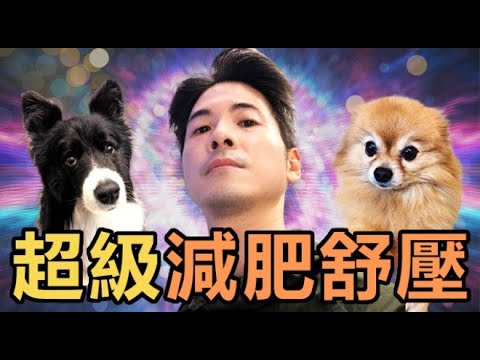 減肥 + 減壓同時做!8分鐘【火電雙重天】呼吸引導 8 min Guided Breathwork