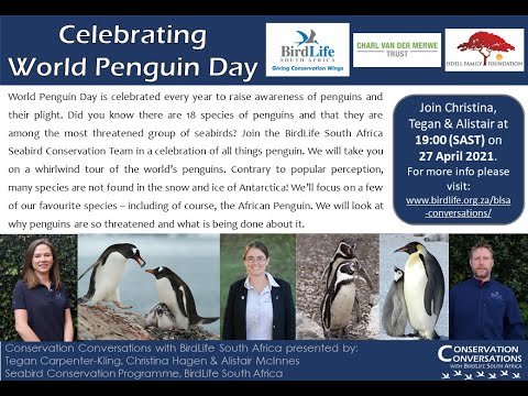Conservation Conversations: World Penguin Day celebration