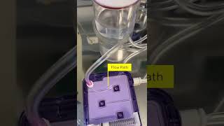 Vivaflow®️ SU: A More Intuitive and Cost-Effective Solution for Tangential Flow Filtration (TFF)