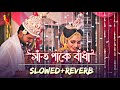 সাঁত পাকে বাঁধা | Bolo Piya Bolo Na Slowed & Reverb ❤️ | Bengali Romantic Lofi | 😭 Sad