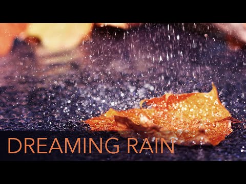 Relax to the Sound of Rain and Distant Thunder - Dreaming Rain 🎧 ASMR - 10 Hours Ambient Music