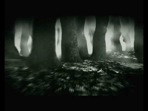 TEWU-HONO TU / Teledysk / HQ