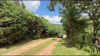 ACORDANDO PARA A VIDA - APRENDENDO COM AS MONTANHAS - EPISÓDIO 19