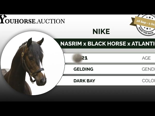 Nike first jumps under the saddle