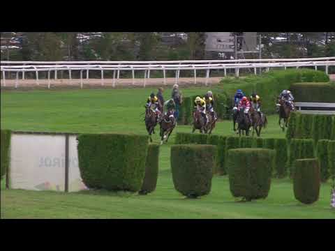 29 settembre 2024 - 7a corsa: Premio 85° GRAN PREMIO MERANO ALTO ADIGE 2024