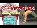 忘れがちな前鋸筋5分トレ[SERRATUS ANTERIOR]