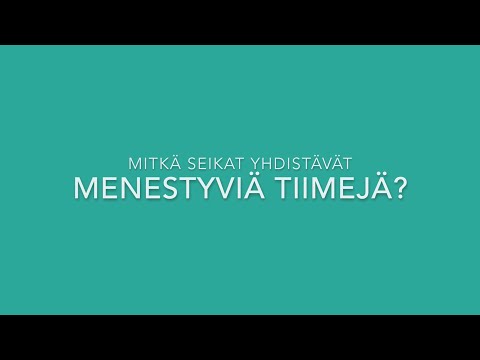Toimivan tiimin tunnusmerkit - menestyvä tiimi