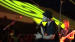 Gavin DeGraw I Need a... Chemical Party