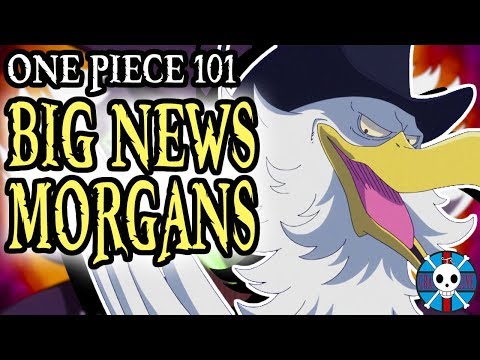 Big News Morgans Explained | One Piece 101