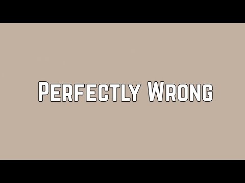 Shawn Mendes - Perfectly Wrong (Lyrics)