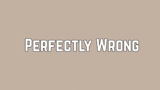 Shawn Mendes - Perfectly Wrong (Lyrics)
