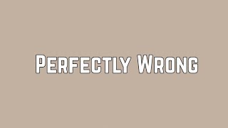 Shawn Mendes - Perfectly Wrong (Lyrics)